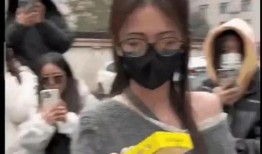 明星吃瓜被爆料群殴视频,娱乐圈暴力事件引发热议