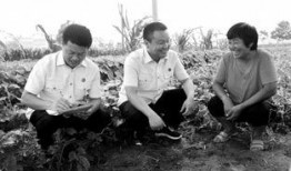 杞县当地人爆料案件最新,当地人爆料案件最新进展，真相即将揭晓！